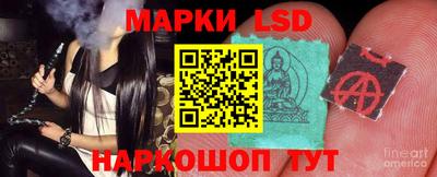 PSILOCYBIN Бугуруслан