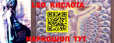 PSILOCYBIN Бугуруслан