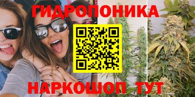 PSILOCYBIN Бугуруслан