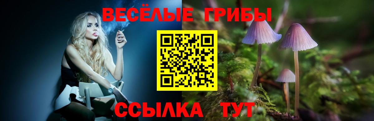 Псилоцибиновые грибы ЛСД  Вход с VPN  Санкт-Петербург 